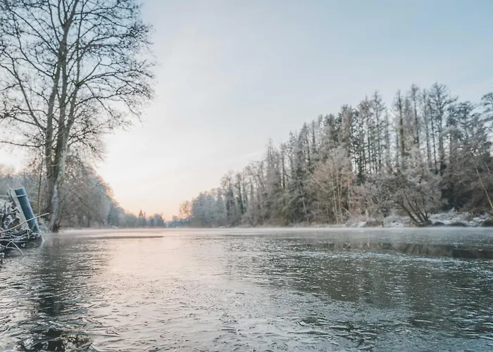 Hotel Les Sorbiers 3*