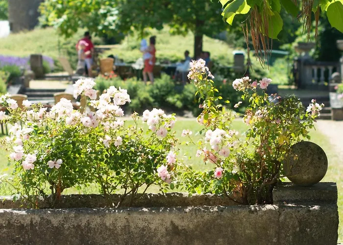 Hotel Les Sorbiers Heer